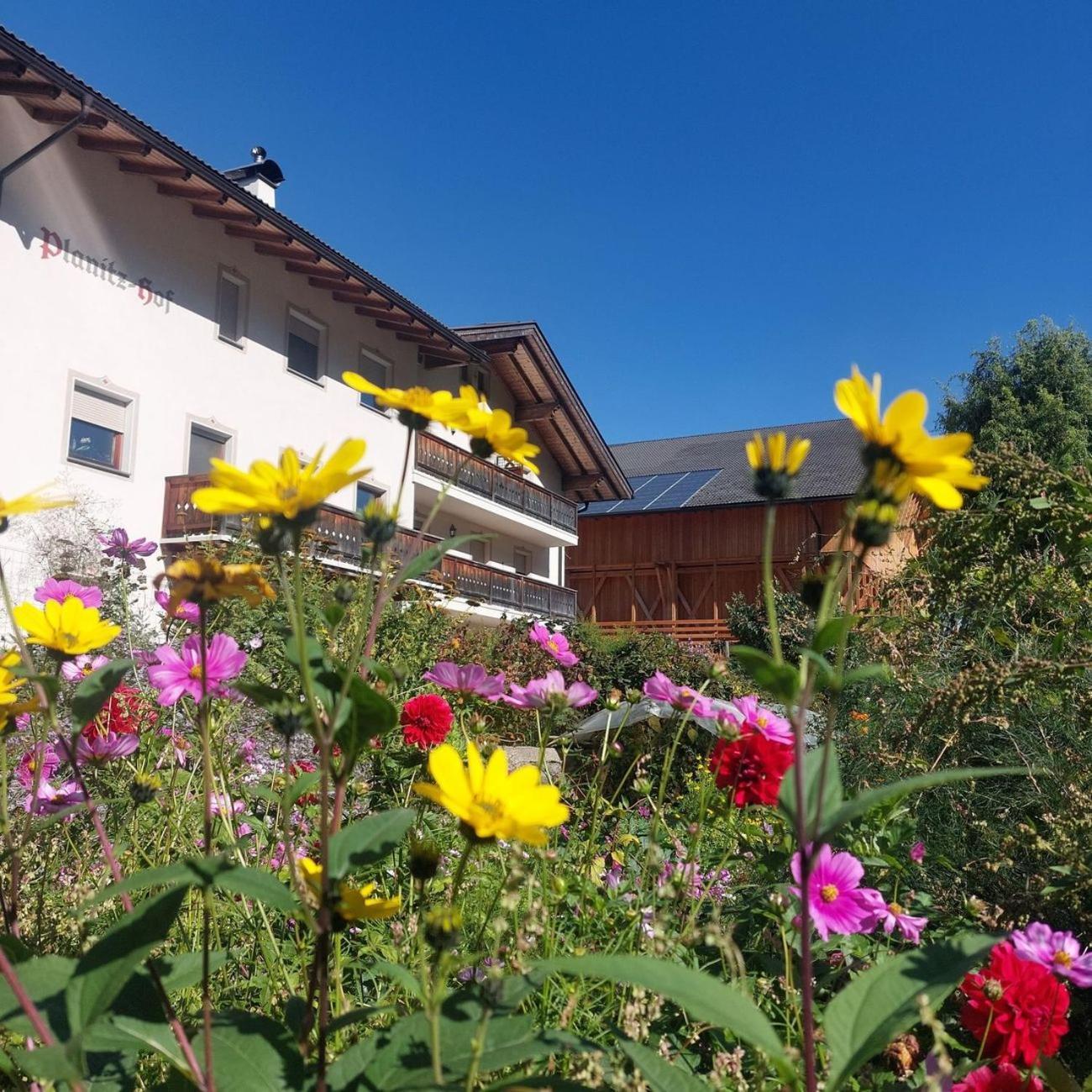 Planitzhof Villa Castelrotto Exterior photo